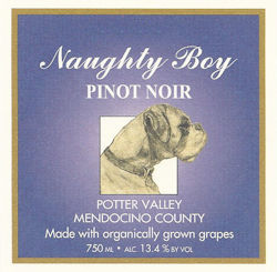 Naughty Boy Pinot
